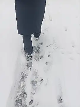 Saysomething3 online show from 11, 1, 2026