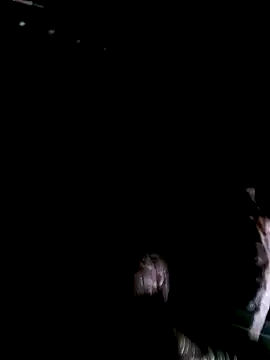 Snapshot of funcock78 chatting on 19, 10, 2025 funcock78 online show from 19, 10, 2025