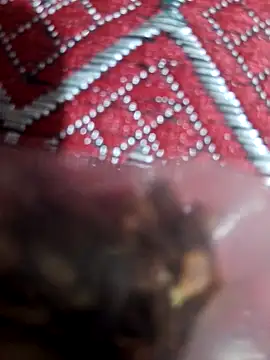 XBHUUME online show from 1, 2, 2025