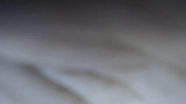 swt shadow online show from 4, 3, 2026