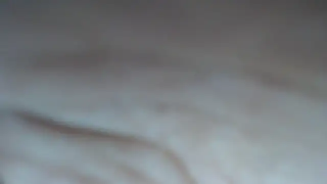 swt shadow online show from 7, 3, 2026