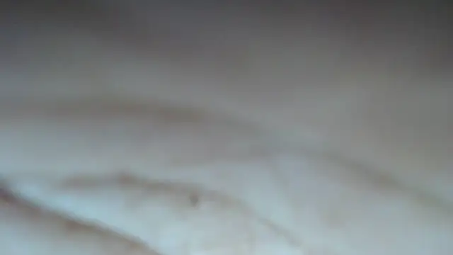 swt shadow online show from 1, 3, 2026