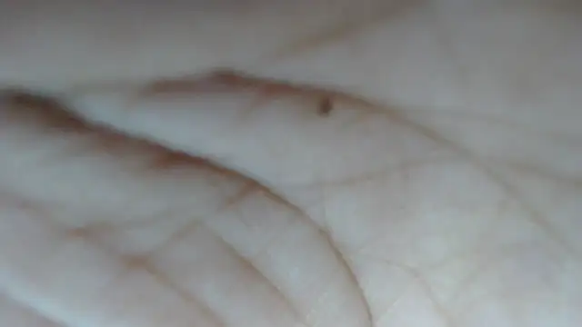 swt shadow online show from 15, 2, 2026