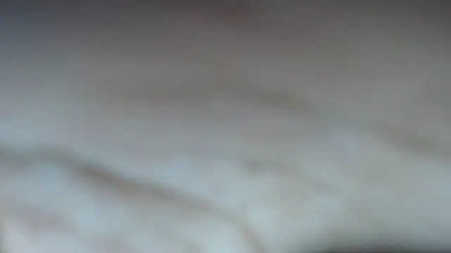 swt shadow online show from 8, 2, 2026