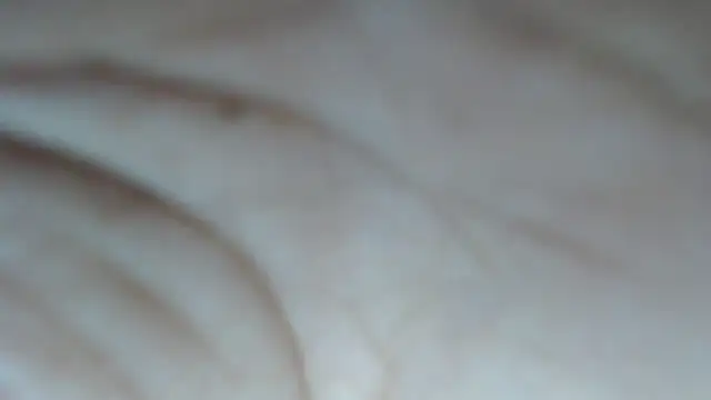 swt shadow online show from 14, 2, 2026