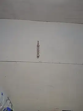 tokyohorny69 online show from 21, 2, 2025