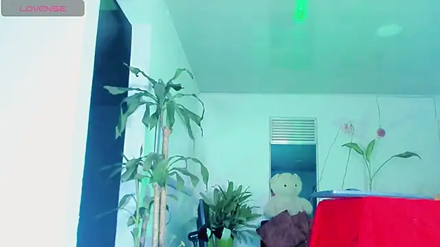 sophiaxxdoll online show from 15, 7, 2026