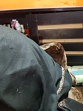 Diya 143 online show from 12, 1, 2026