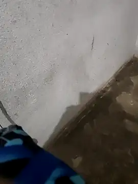 hariomo online show from 28, 11, 2025