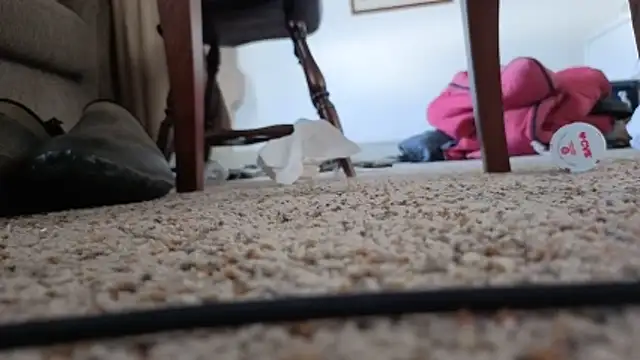 CDforU online show from 5, 2, 2026