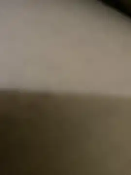 stuard-19 online show from 4, 12, 2025