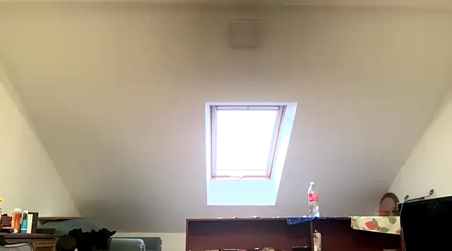 WildzMareNextLevel online show from 4, 1, 2025