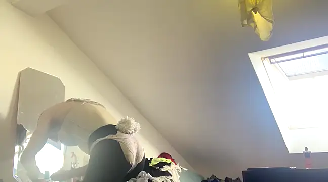 WildzMareNextLevel online show from 8, 1, 2025