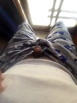 limtguys online show from 27, 11, 2025