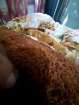 limtguys online show from 25, 11, 2025