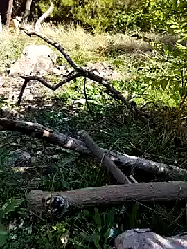 Snapshot of K-27 chatting on 4, 10, 2025 K-27 online show from 4, 10, 2025