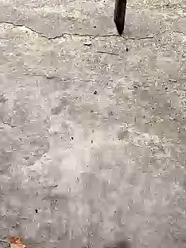 Snapshot of K-27 chatting on 18, 10, 2025 K-27 online show from 18, 10, 2025