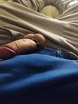 Purple Flamingo online show from 3, 2, 2026