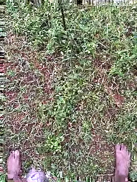 Snapshot of Gopal1243 chatting on 27, 10, 2025 Gopal1243 online show from 27, 10, 2025