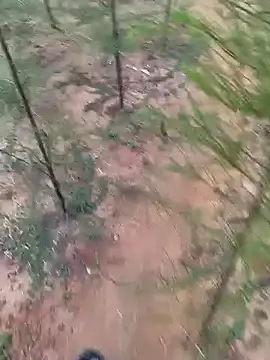 Snapshot of Gopal1243 chatting on 19, 1, 2025 Gopal1243 online show from 19, 1, 2025