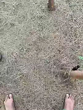 Snapshot of Gopal1243 chatting on 26, 2, 2025 Gopal1243 online show from 26, 2, 2025