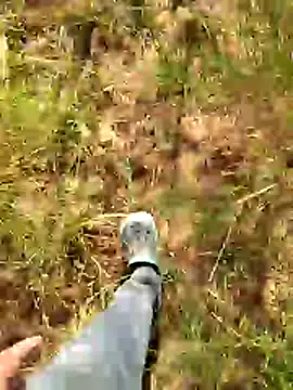 Snapshot of Gopal1243 chatting on 7, 1, 2026 Gopal1243 online show from 7, 1, 2026