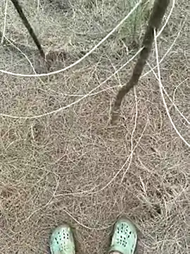 Gopal1243 online show from 9, 4, 2026