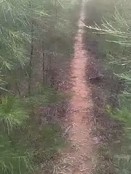 Snapshot of Gopal1243 chatting on 17, 2, 2025 Gopal1243 online show from 17, 2, 2025