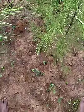 Snapshot of Gopal1243 chatting on 9, 12, 2024 Gopal1243 online show from 9, 12, 2024