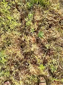 Snapshot of Gopal1243 chatting on 23, 3, 2025 Gopal1243 online show from 23, 3, 2025