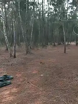 Snapshot of Gopal1243 chatting on 20, 1, 2025 Gopal1243 online show from 20, 1, 2025