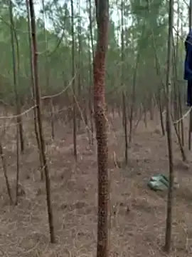 Gopal1243 online show from 27, 3, 2026