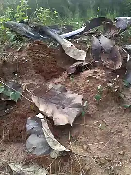 Snapshot of Gopal1243 chatting on 20, 2, 2025 Gopal1243 online show from 20, 2, 2025