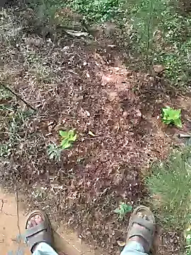 Snapshot of Gopal1243 chatting on 15, 1, 2025 Gopal1243 online show from 15, 1, 2025