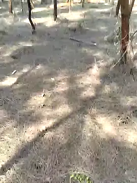 Snapshot of Gopal1243 chatting on 20, 2, 2025 Gopal1243 online show from 20, 2, 2025