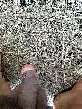 Snapshot of Gopal1243 chatting on 19, 2, 2026 Gopal1243 online show from 19, 2, 2026