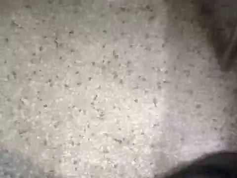 Rajibsorkar20 online show from 10, 2, 2025