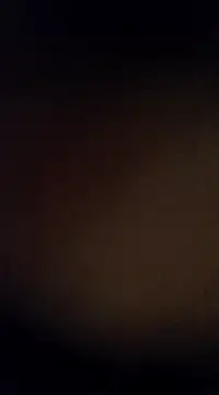 Rajibsorkar20 online show from 13, 2, 2025