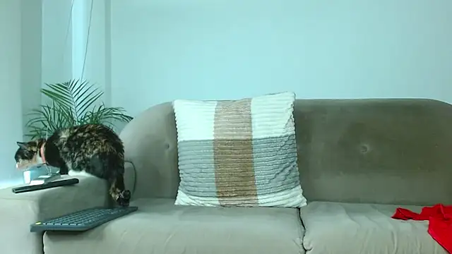 Snapshot of Robyn_Miller chatting on 9, 10, 2025 Robyn Miller online show from 9, 10, 2025