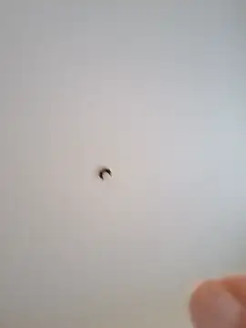 Yaya Mineira online show from 14, 3, 2025