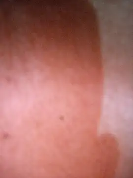 CASADASIGILO2 online show from 20, 2, 2026