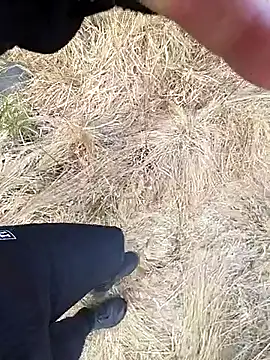 Papiercedbisex online show from 18, 4, 2026