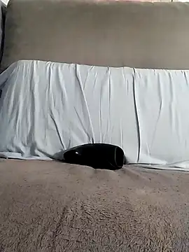 Snapshot of LoGaNfree88 chatting on 11, 9, 2025 LoGaNfree88 online show from 11, 9, 2025