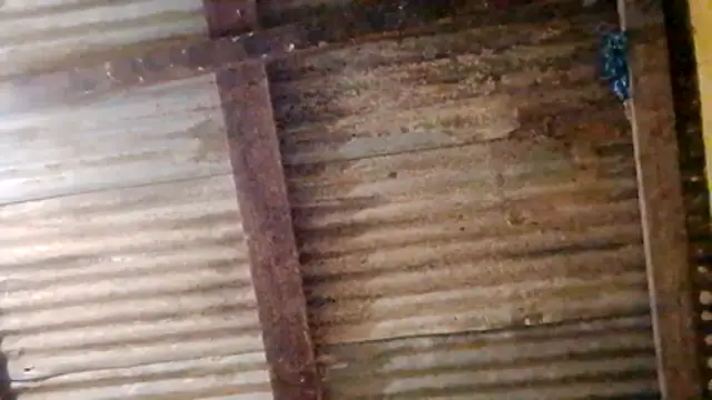 Snapshot of LULE37587001 chatting on 20, 2, 2026 LULE37587001 online show from 20, 2, 2026