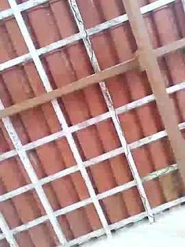 Peludo173317 online show from 11, 3, 2025