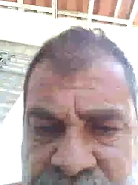 Peludo173317 online show from 6, 3, 2025