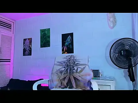 drippyorlovee online show from 11, 2, 2026