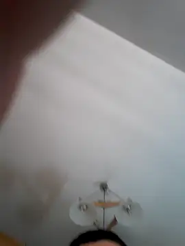 Pitbul889 online show from 1, 11, 2025