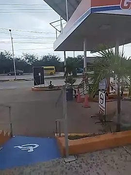 sagrado 1989 online show from 12, 1, 2026