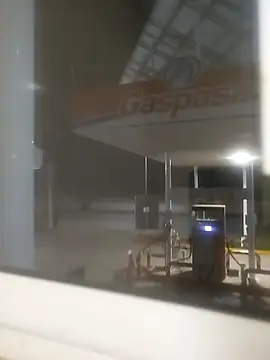 sagrado 1989 online show from 11, 2, 2026